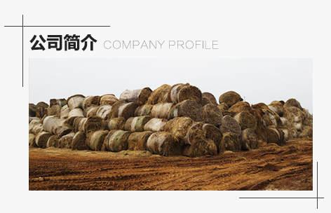 15221976174553.jpg about_us1.jpg